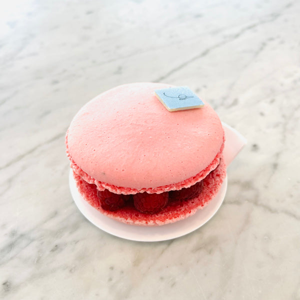 Large Vanilla Macaron for Collection